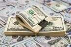 بانک مرکزی: قیمت دلار غیر واقعی است!