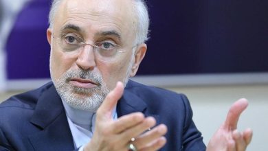 علی اکبرصالحی: اگر به اقدامات رژیم صهیونیستی پاسخ داده نمی‌شد، این رژیم بطور تدریجی عرصه را بر ایران تنگ می‌کرد