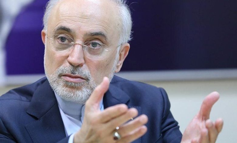 علی اکبرصالحی: اگر به اقدامات رژیم صهیونیستی پاسخ داده نمی‌شد، این رژیم بطور تدریجی عرصه را بر ایران تنگ می‌کرد