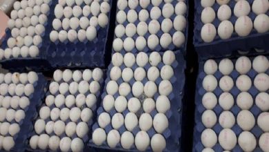 تخم مرغ با این قیمت به فروش می‌رسد (۳ اردیبهشت ۱۴۰۳)