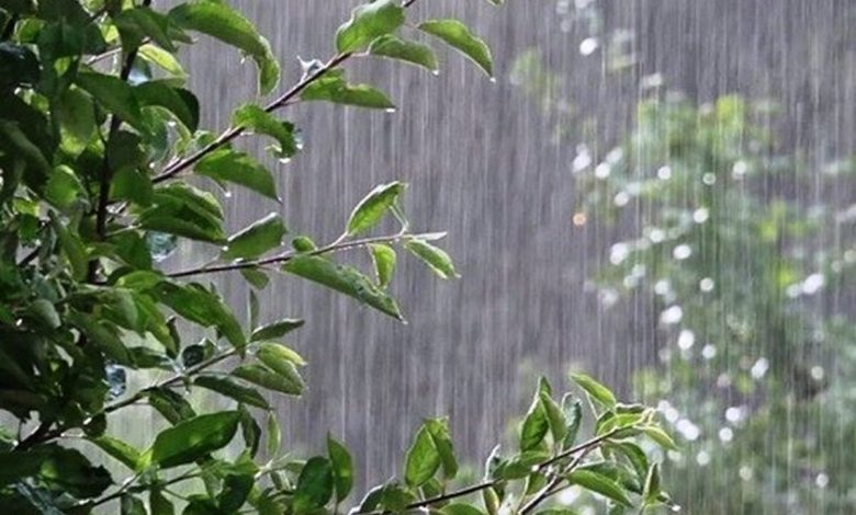 رگبار باران از دوشنبه در تهران - هشت صبح