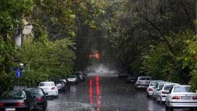 گلستان، مازندران و یزد پر بارش ترین استان ها در هفته جاری - هشت صبح