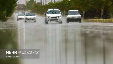 بیش از ۵۰درصد بارش سال آبی استان سیستان در ۳ روز اتفاق افتاد - هشت صبح