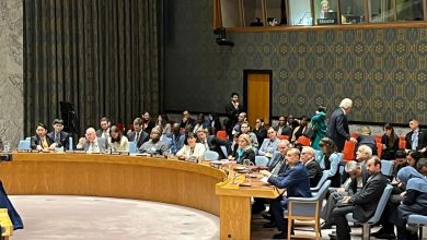 ارائه ۶ پیشنهاد جهت پایان وضعیت بحرانی غزه در شورای امنیت - هشت صبح