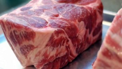 واردات گوشت منجمد افزایش می‌یابد - هشت صبح