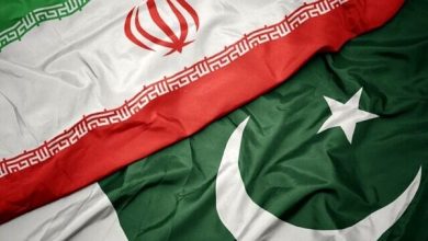 همکاری ایران وپاکستان در موضوع کشت قراردادی و تهاتر کالاهای اساسی - هشت صبح