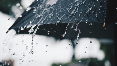 کاهش ۲۵.۹ میلی‌متری بارش‌ها در کشور برخلاف بارندگی‌های اخیر - هشت صبح