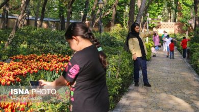 (تصاویر) فصل لاله‌ها در باغ ایرانی