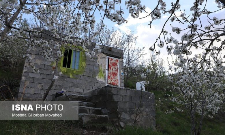 (تصاویر) شکوفه‌های بهاری در جاده اهر ـ مشگین‌شهر 