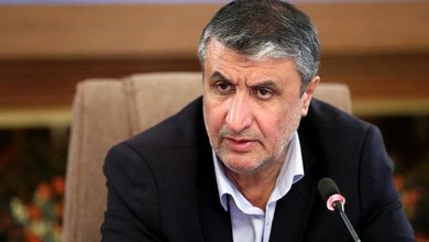 رئیس سازمان انرژی اتمی: بازرسی‌ها از تاسیسات ایران حدود ۲۲ درصد بازرسی‌های کل جهان است / همکاری با آژانس در چارچوب پادمان ادامه دارد