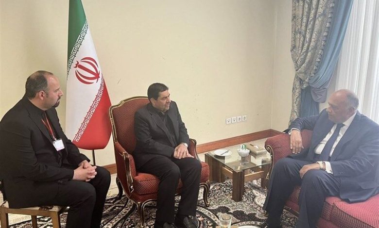 دیدار وزیر خارجه مصر با سرپرست ریاست جمهوری / سماح شکری: مصر خواستار تقویت روابط با ایران است / دوست داشتیم در شرایطی بهتر به ایران سفر کنیم