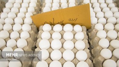 ممنوعیت صادرات تخم‌مرغ به عراق تکذیب شد - هشت صبح