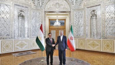 ایران و تاجیکستان باید ازظرفیت‌های سازمان‌های منطقه‌ای بهره ببرند - هشت صبح