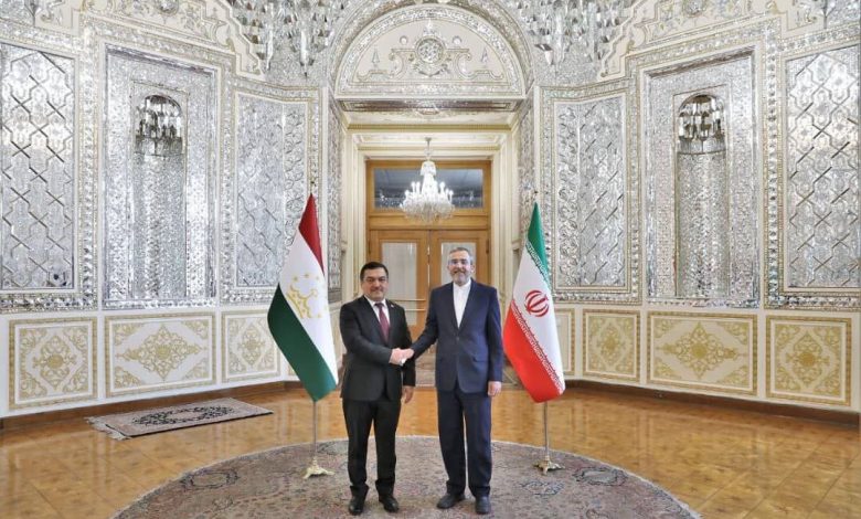 ایران و تاجیکستان باید ازظرفیت‌های سازمان‌های منطقه‌ای بهره ببرند - هشت صبح