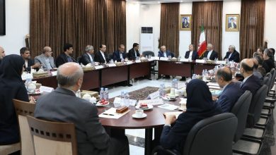 نشست هم اندیشی امورکنسولی نمایندگی‌های ایران در پاکستان برگزار شد - هشت صبح