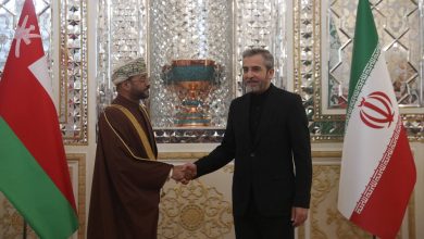 وزیر خارجه عمان با باقری دیدار کرد - هشت صبح