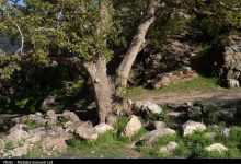 (تصاویر) طبیعت بهاری دره خان ارومیه