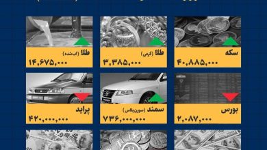 اینفوگرافیک / امروز ۱۳ خرداد ۱۴۰۳ قیمت ها چقدر است؟