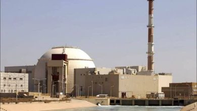 شرکت برق: نیروگاه بوشهر در اورهال از ابتدای امسال برقی به شبکه سراسری کشور تزریق نکرده/ این نیروگاه قرار است از ۲۱ خرداد در مدار فعالیت قرار بگیرد