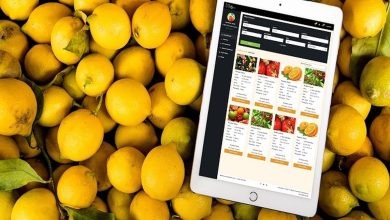 افزایش۳۰۰ درصدی قیمت میوه از میدان تره‌بار تا سفارش آنلاین