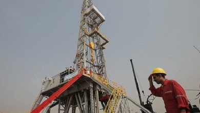 وزارت نفت به دنبال توسعه همکاری با شرکت‌های ایرانی - هشت صبح