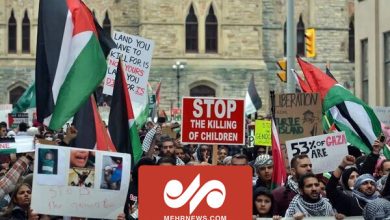 عصبانیت مصی علینژاد از حمایت دانشجویان سراسر جهان از فلسطین - هشت صبح