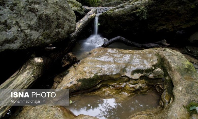 (تصاویر) آبشارهای شفیع آباد فندرسک