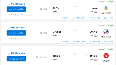 قیمت بلیط هواپیما تهران-نجف، امروز ۱۲ تیر ۱۴۰۳