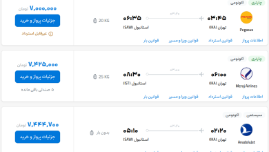 قیمت بلیط هواپیما تهران-استانبول، امروز ۷ مرداد ۱۴۰۳