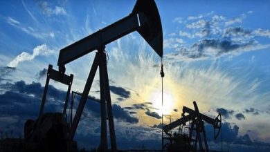 افزایش قیمت نفت ایران در ۶ ماه نخست ۲۰۲۴ - هشت صبح