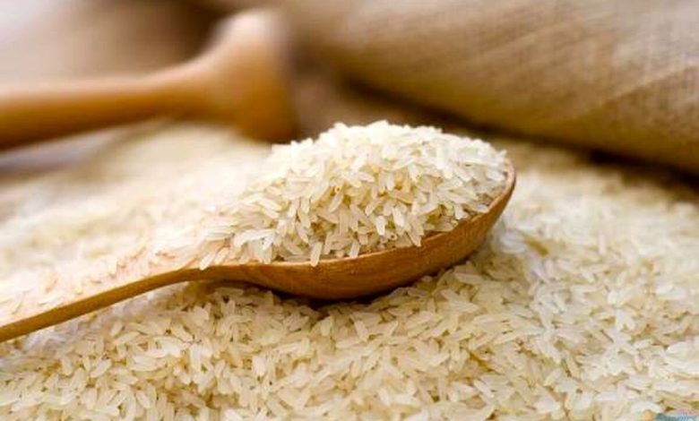 برنج وارداتی کماکان مشمول دریافت ارز ترجیحی باقی ماند - هشت صبح