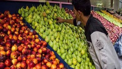 قیمت میوه و سبزیجات کاهش می‌یابد؟ - هشت صبح