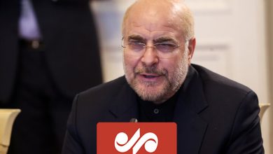مجلس و دولت جدید ایران آمادگی همکاری با اعضای بریکس را دارند
