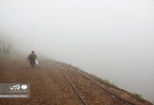 (تصاویر) ترنم باران و مه در کوهستان چالوس