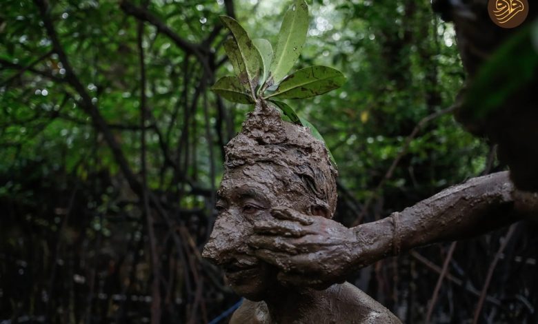 (تصاویر) برندگان جایزه عکاسی جنگل‌های مانگرو ۲۰۲۴
