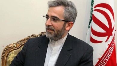 استقبال کشورهای اسلامی از برگزاری نشست اضطراری وزرای امور خارجه - هشت صبح