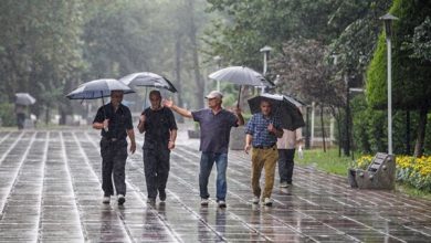 رگبار و رعد و برق در سواحل خزر و ارتفاعات البرز مرکزی - هشت صبح