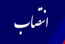 سرپرست شرکت پشتیبانی امور دام منصوب شد - هشت صبح