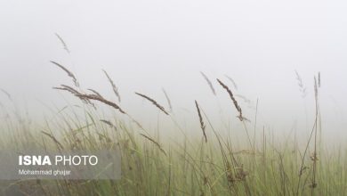 (تصاویر) ارتفاعات جنگلی اولنگ در شهرستان رامیان