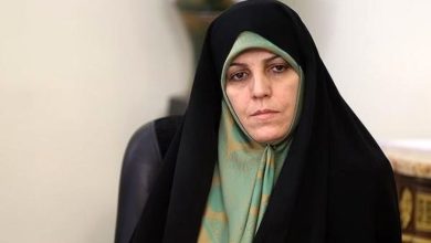 شهیندخت مولاوردی: برای ناکامی جنگجویان عالم، تدابیرى بیش از «ابراز نگرانى» و «شرمسارسازى» لازم است