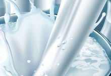 قیمت جدید شیر خام درب دامداری‌ها مصوب اما ابلاغ نشده است - هشت صبح