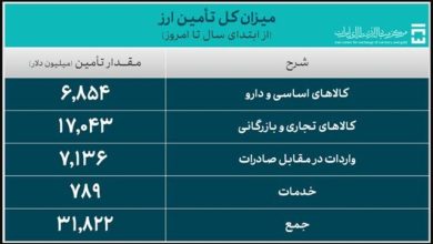 ۳۱.۸ میلیارد دلار ارز واردات تامین شد