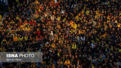 چاقوخوردن به خاطر برادرزاده/ پیرمرد پرحاشیه آفتابی شد!