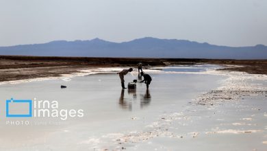 (تصاویر) برداشت سنتی نمک