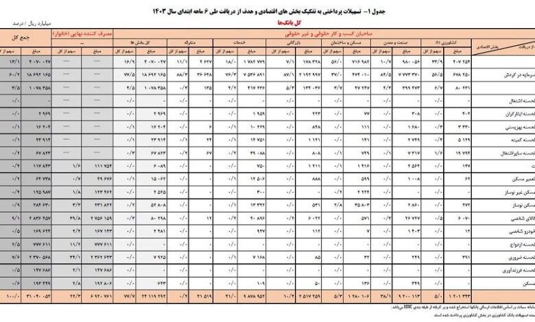 ۶۹۲ همت تسهیلات خرد به مردم پرداخته شد