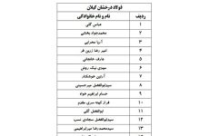 لیگ برتر وزنه‌برداری تیم می‌خواهد!