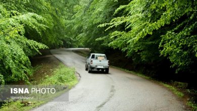 (تصاویر) جاده جنگلی سوادکوه در استان مازندران