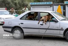 (تصاویر) افتتاحیه نمایشگاه بین المللی ایپاس ۲۰۲۴