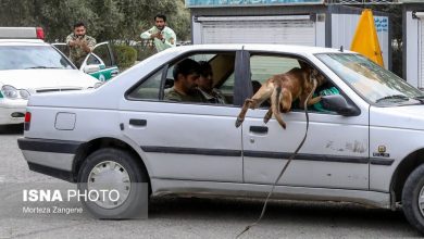 (تصاویر) افتتاحیه نمایشگاه بین المللی ایپاس ۲۰۲۴