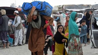 مشاور وزیر کشور: اخراج اتباع افغانستانی غیر مجاز استمرار می‌یابد/ به ازای هر اتباع افغانستانی، سازمان ملل پنج دلار در سال پرداخت می‌کند؛ این در مقایسه با خدماتی که اتباع از ایران دریافت می‌کنند، ناچیز است